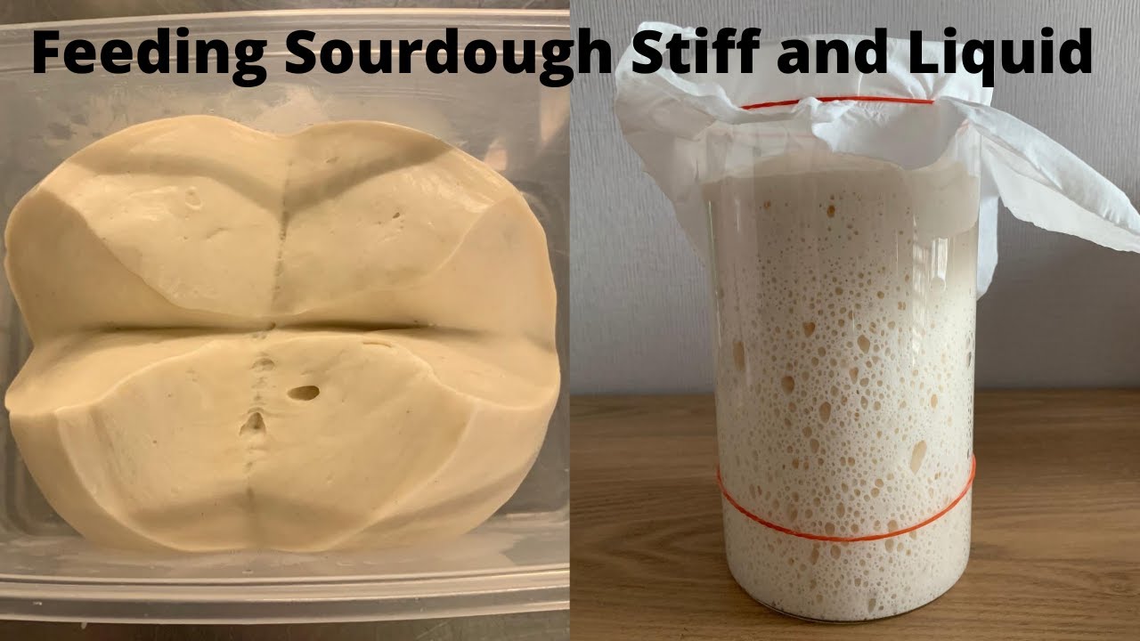 Feeding Sourdough Starter Stiff and Liquid. How to maintain and preparing for baking.