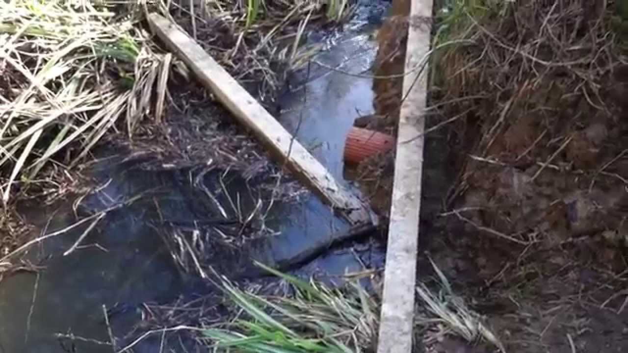 Ecclesbourne Glen - Drainage into the landlsip. 07 April 2014.
