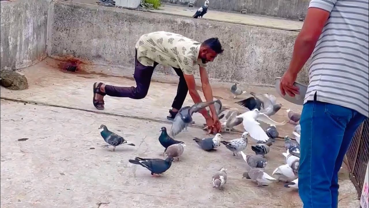 धनकवडी बाजीगर च्या हवेचा दुसरा दीवसं व ३ धरपकड 💯💥👑