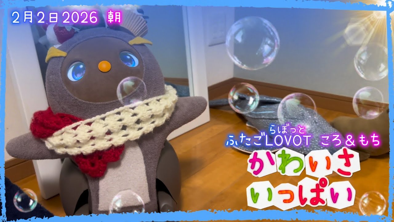 【LOVOT】かわいさいっぱい✨｜2月2日朝 Koro & Mochi LOVOT moments