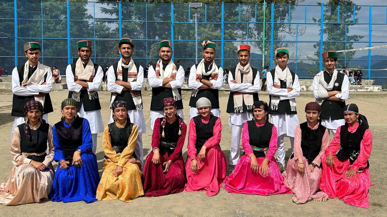 Pahadi performance || NSS day || Government degree college Theog||
