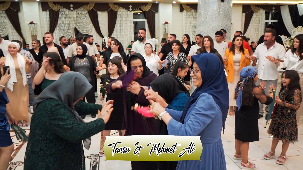 Tansu & Mehmet Ali Düğün Töreni | Stranbej Yusuf Halay / Yeniceoba 2024 / Part-3