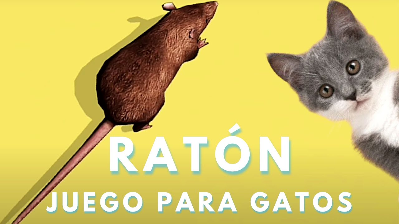 👉JUEGO de RATONES para #gatos 😸 [VIDEOS PARA GATOS] #juegosparagatos