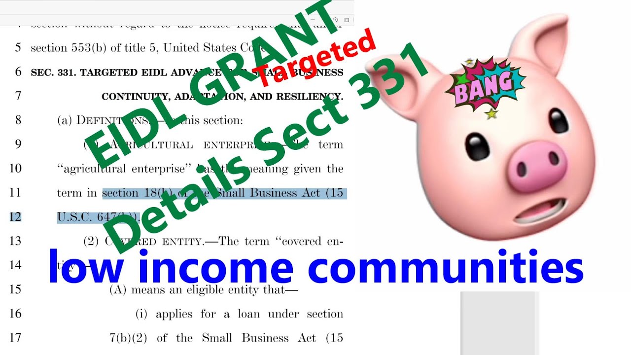$10,000 EIDL Grant Sec 331 Targeted EIDL advance for Small Business Low income Getting Approved