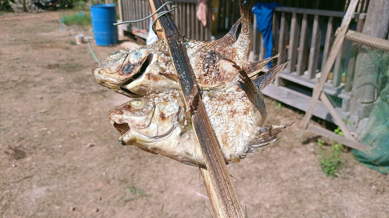 วานแห่เอาปามาปี้ง ວານແຫ່ເອົາປາມາປີ້ງ