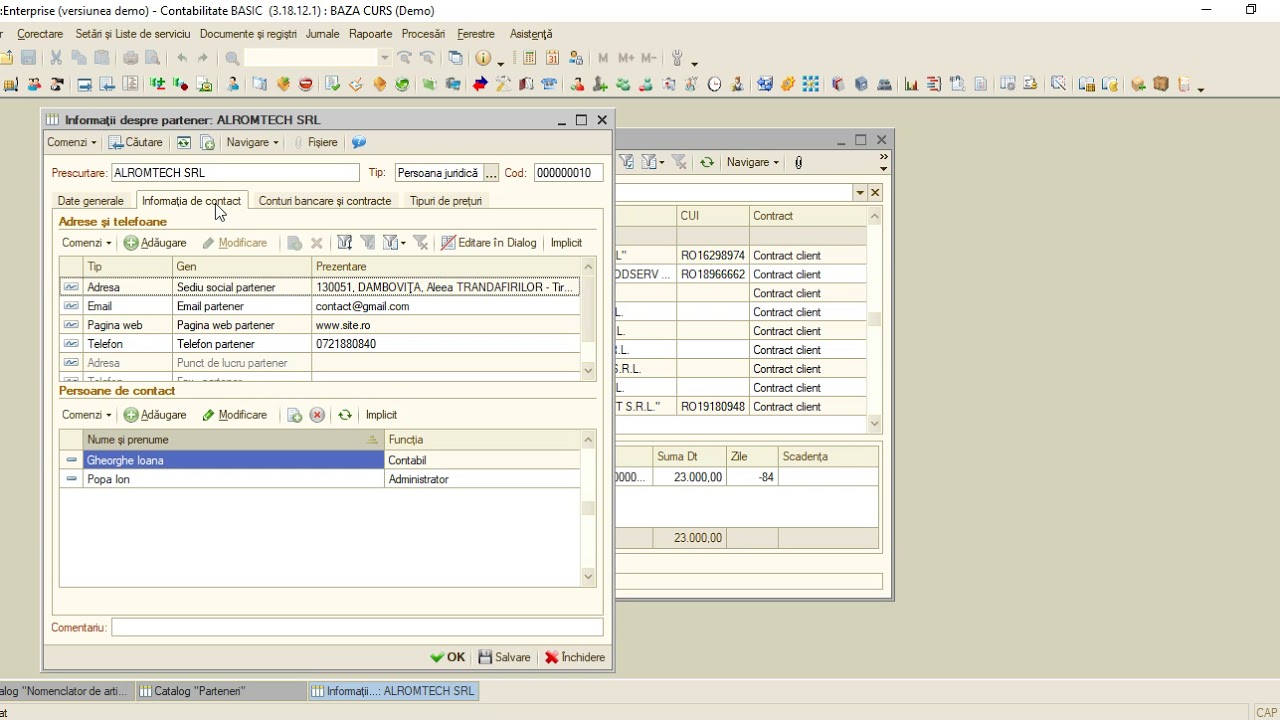 1C Contabilitate DEMO Setare Partener