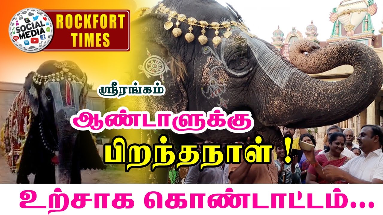 ஸ்ரீரங்கம்  யானை ஆண்டாளுக்கு 45 வது பிறந்தநாள் ||உற்சாகமாக கொண்டாடிய பக்தர்கள்