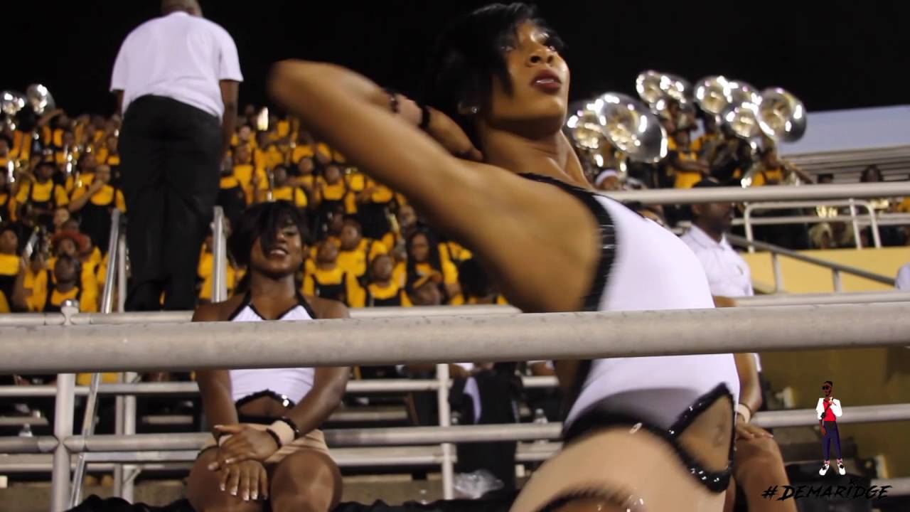 Alabama State Stingettes 