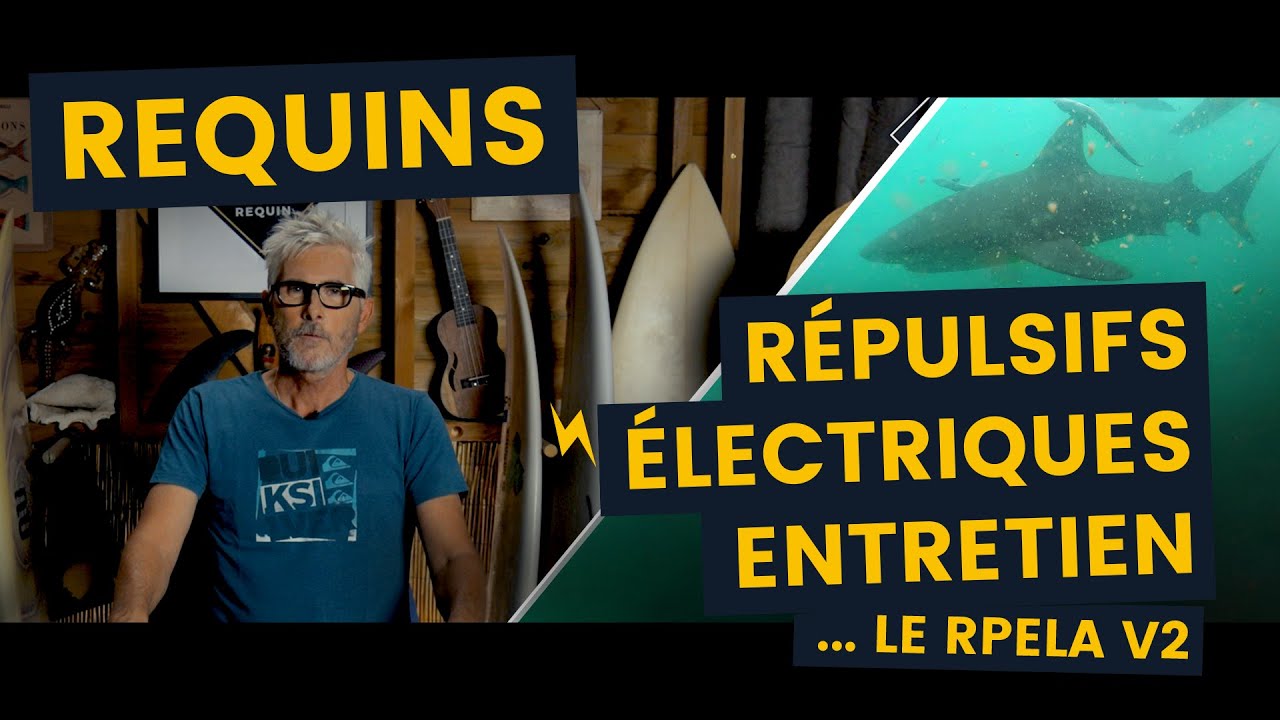 Sécurité Requin : entretien du Rpela V2, un répulsif électrique pour réduire le risque requin