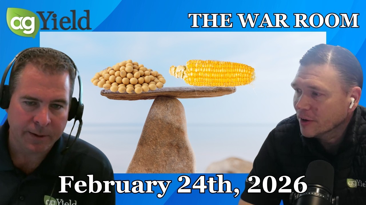 Is more balance coming to the grain markets? | The War Room: Tuesday, February 24th, 2026