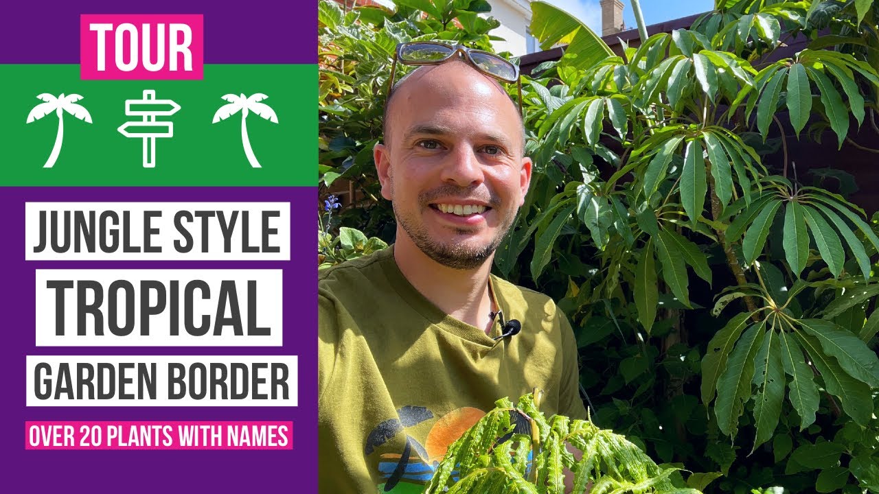 Jungle style tropical garden border tour + plant names