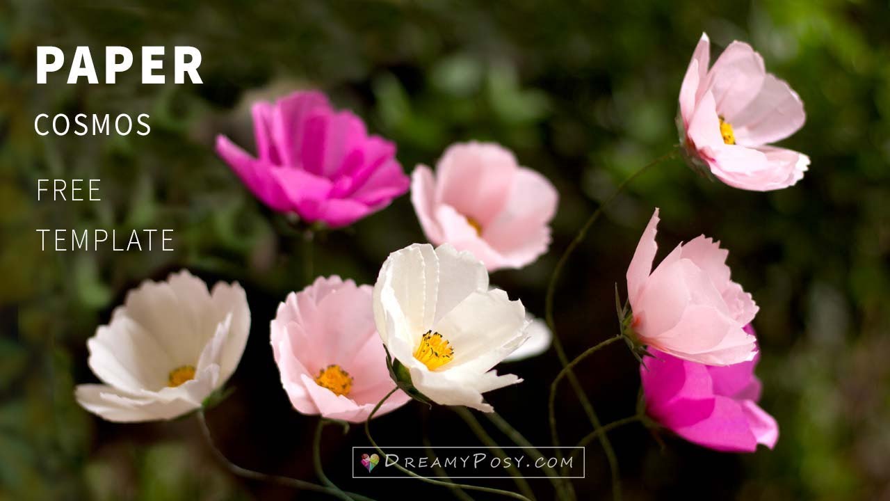 How to make paper cosmos flowers from facial tissue, free template