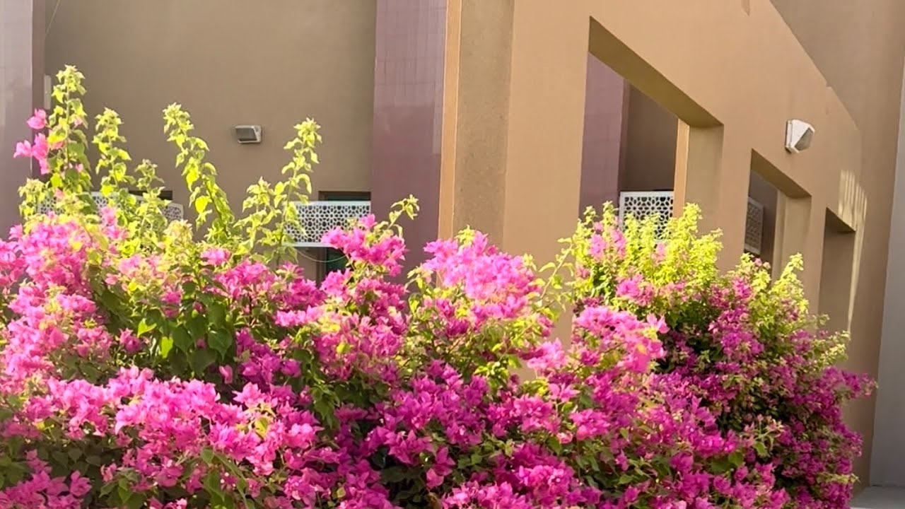 University of Bahrain.