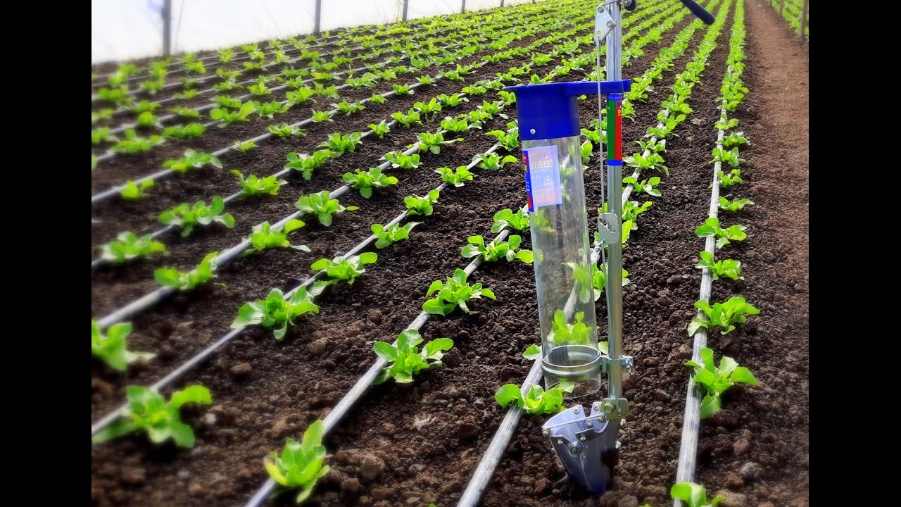 #Plantator manual pentru #rasaduri - test