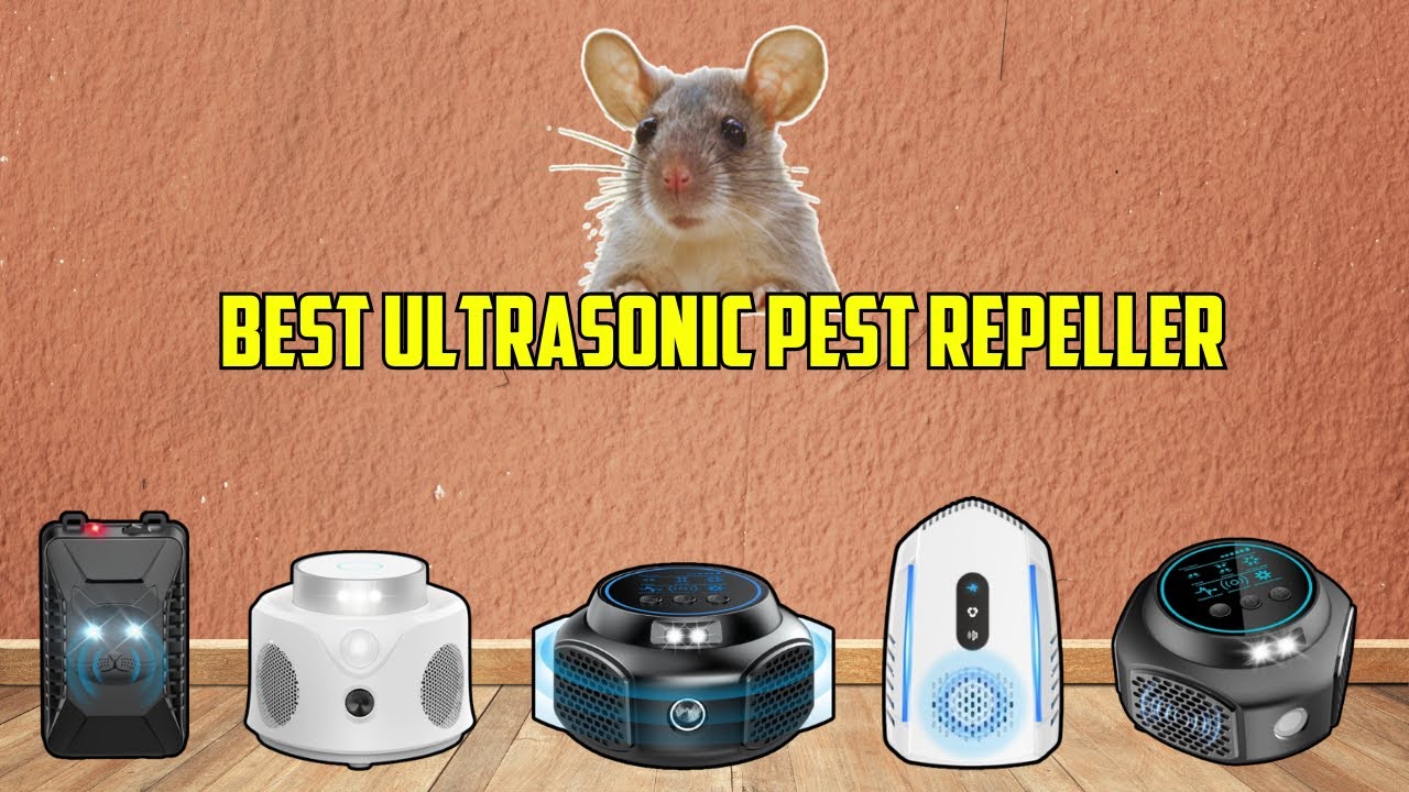 The Best Indoor Ultrasonic Pest Repeller Review 2025