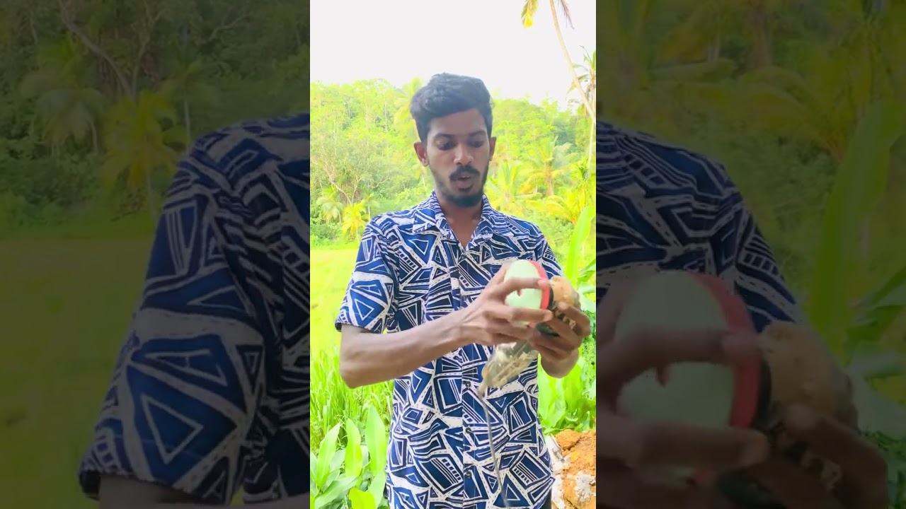 අඩු වියදමින් පොලව හදාගන්න විදිය බලමු. 🇱🇰🏡