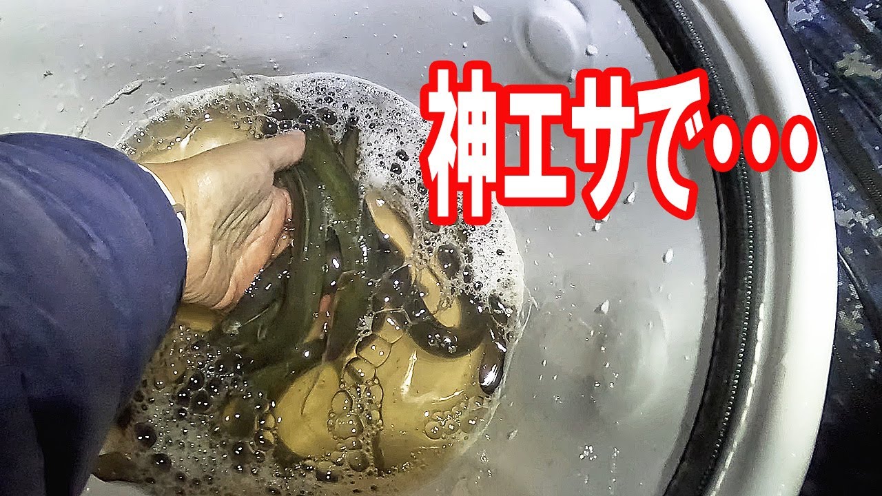 初冬のうなぎ釣りで試したエサが最強だった！【うなぎ釣り】