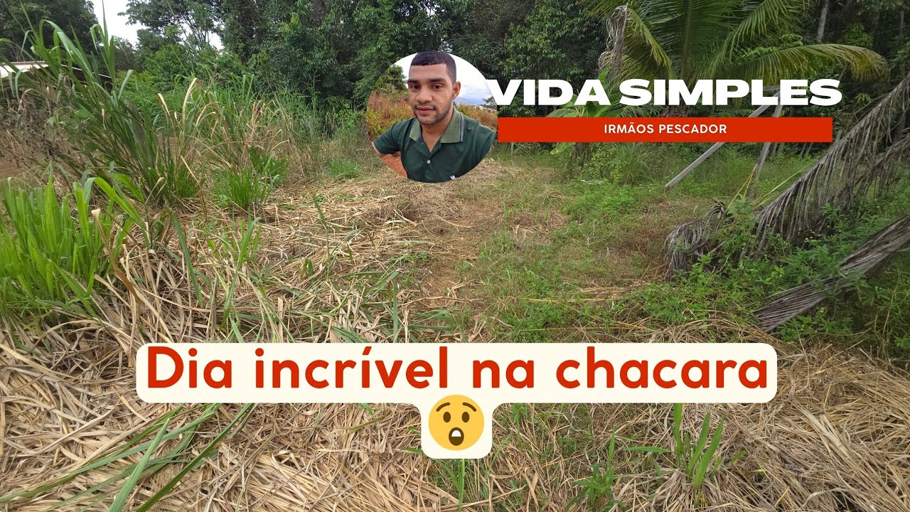 Da Roça Para o Futuro: Vamos Nos Mudar ou Não?