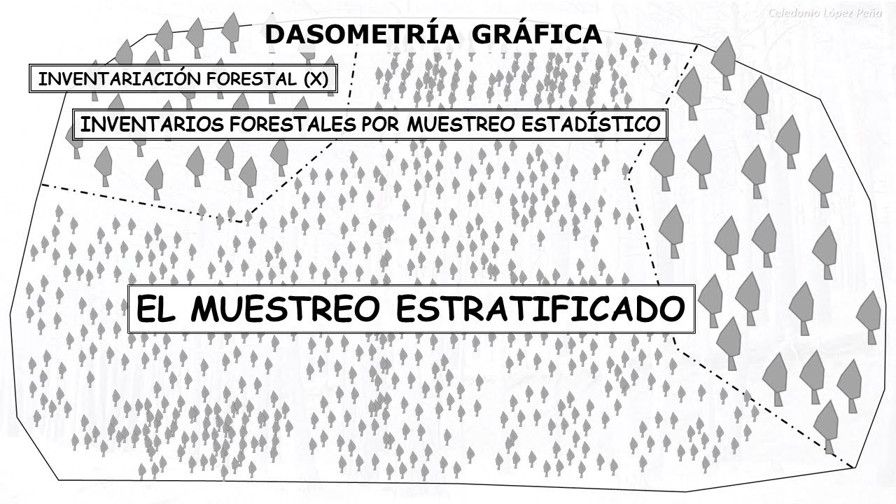 MUESTREO ESTRATIFICADO