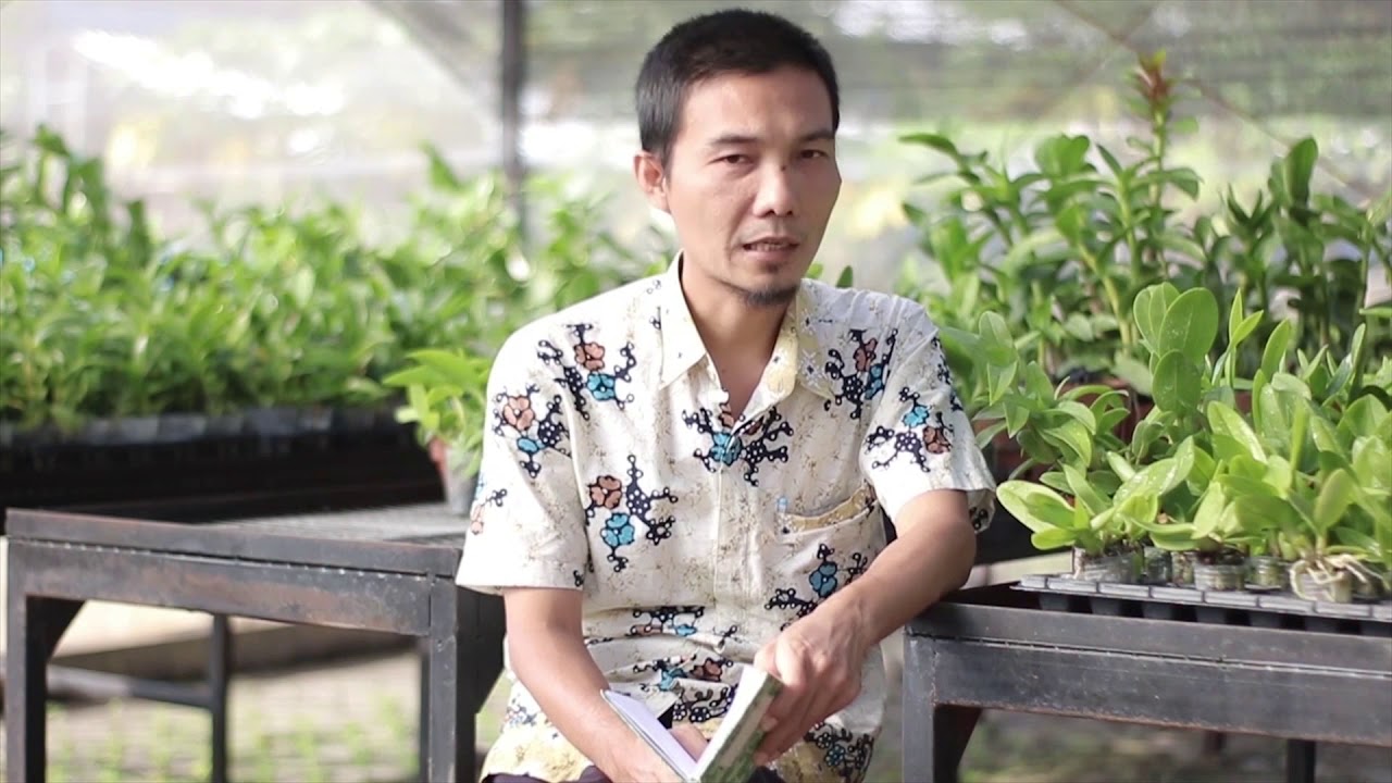AGRIBISNIS TANAMAN PANGAN DAN HOLTIKULTURA