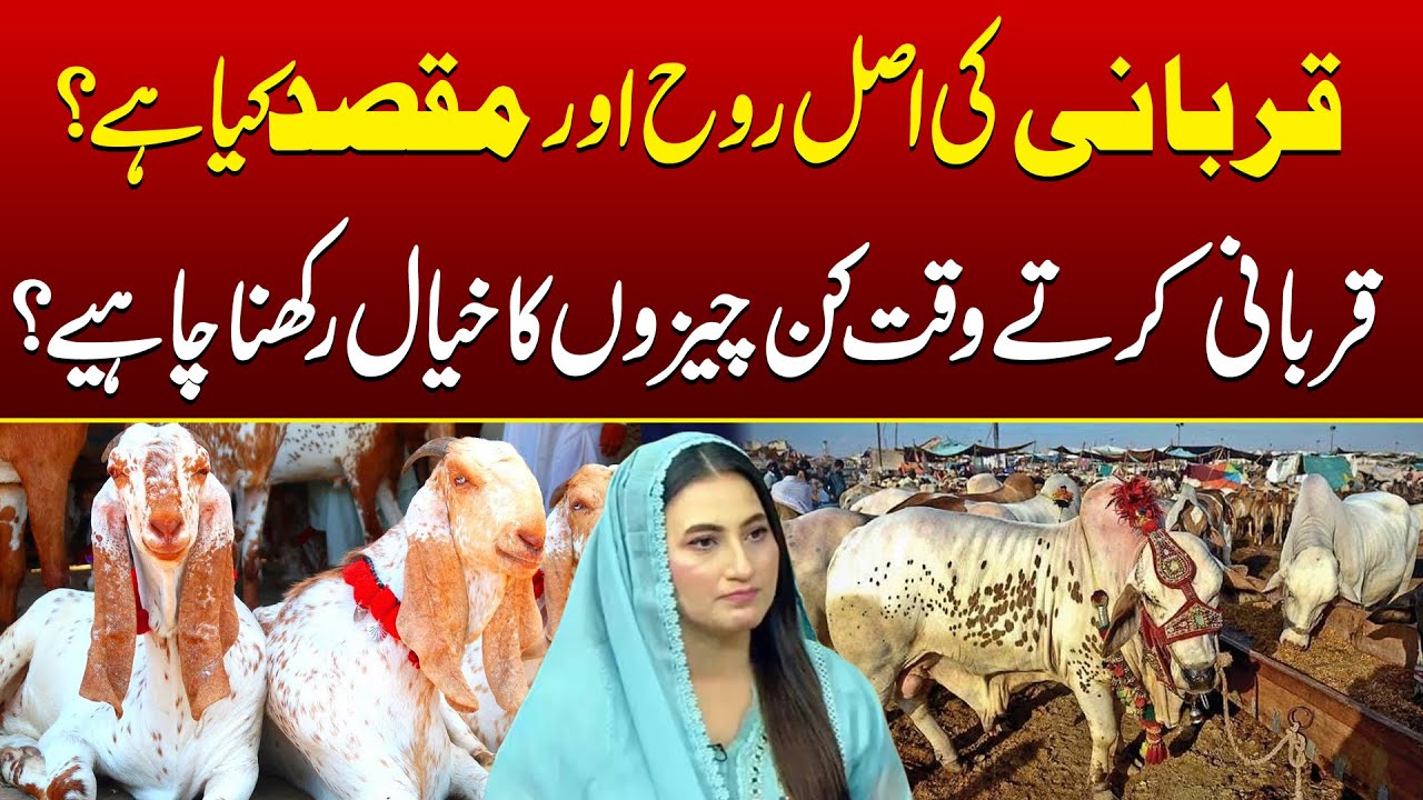 Why Do Muslims Offer Qurbani? Understanding Its Purpose | 06 June 2025 | Jaago Lahore