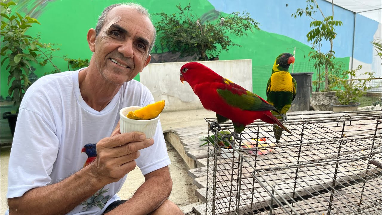 SOLTAMOS O LORIS AMOR-AMOR NO SUPER VIVEIRÃO