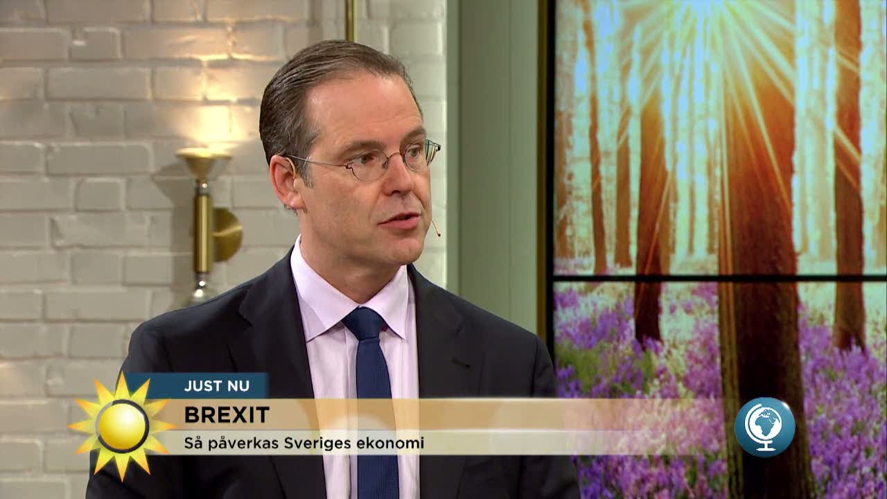 Så påverkas Sverige av Brexit - Anders Borg svarar - Nyhetsmorgon (TV4)