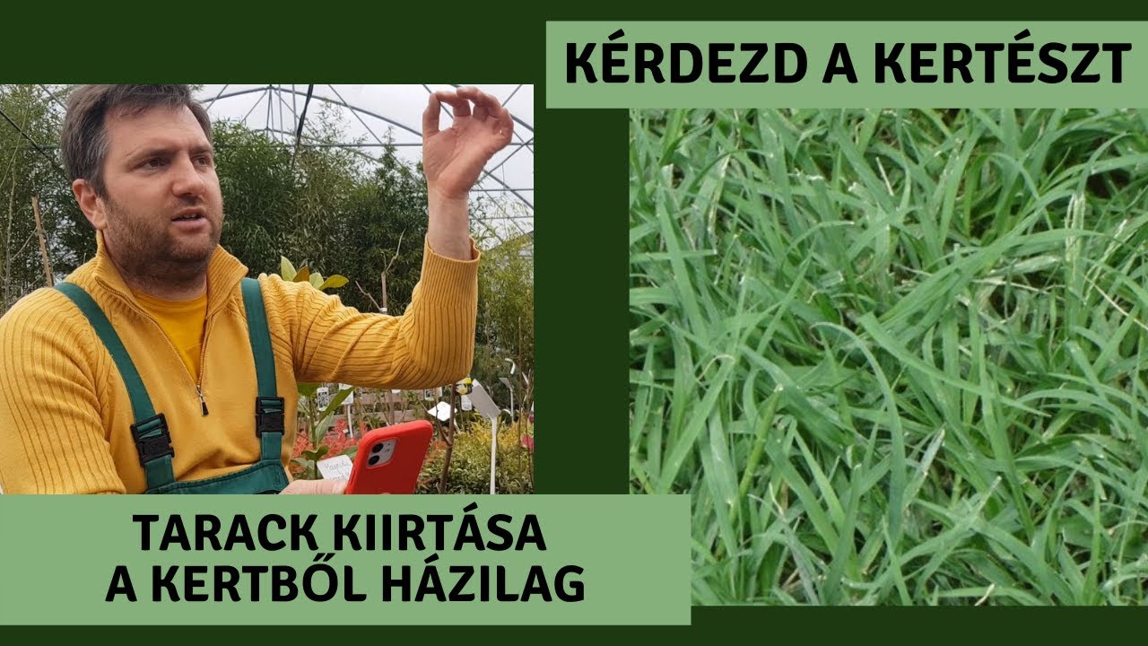 Tarack KIIRTÁSA A KERTBŐL házilag | KÉRDEZD A KERTÉSZT