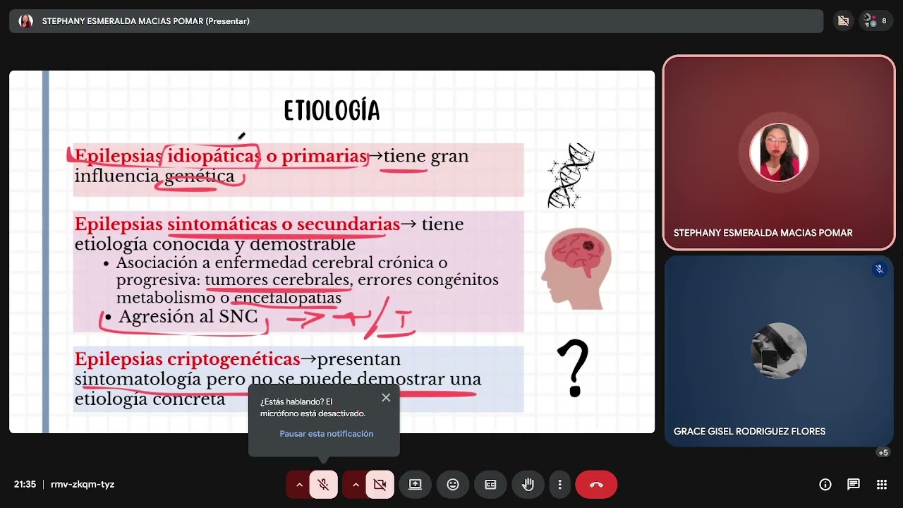 EPILEPSIA II