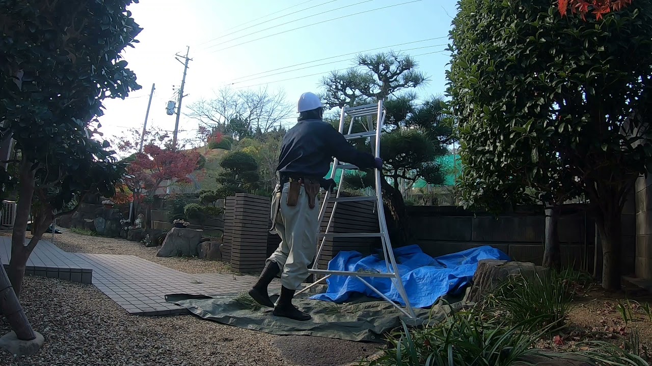 【松の剪定】約3時間の作業をギュッと凝縮｜剪定後の庭全体の仕上がりもご紹介