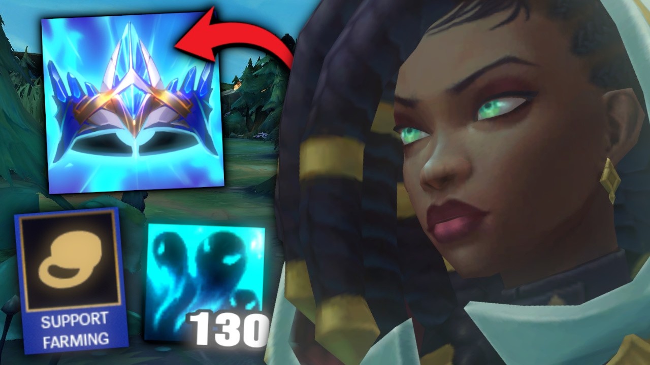 SUPPORT CO KRADNIE MINIONY