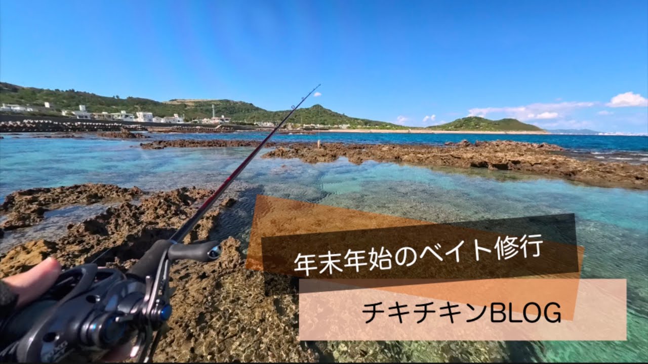 ［沖縄］年末年始のベイト修行［ルアーフィッシング］#沖縄 #釣り #ルアー釣り #fishing #fishingvideo