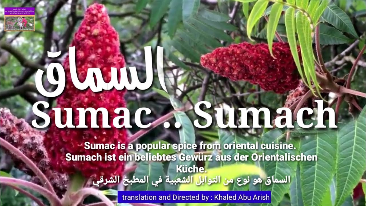 Drzewo sumakowe. Korzyści i zastosowania sumaku, Sumach &ndash; Das herrlich frische Tischgew&uuml;rz der Levante