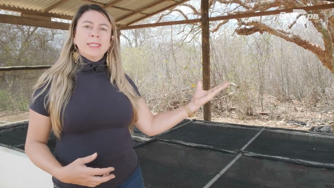Reúso de águas cinza  - composição do Bioágua Familiar