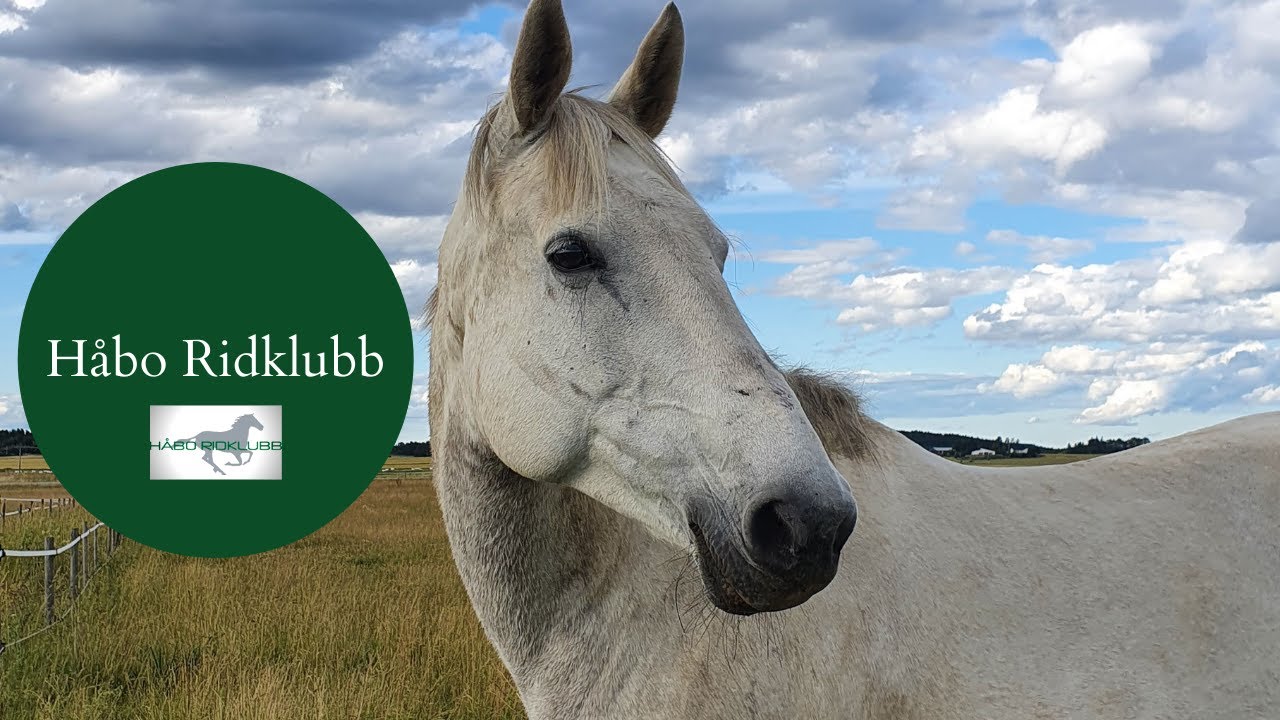 H&aring;bo Ridklubb