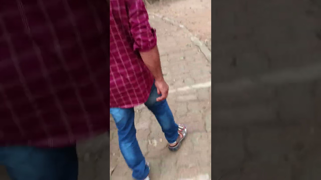   সিংহতে হিসু করে দিলো🤣