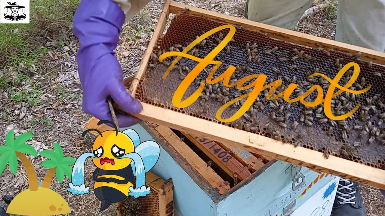 ΜΕΛΙΣΣΙΑ ΤΕΛΟΣ ΑΥΓΟΥΣΤΟΥ 🐝🐟🔱Επ.2