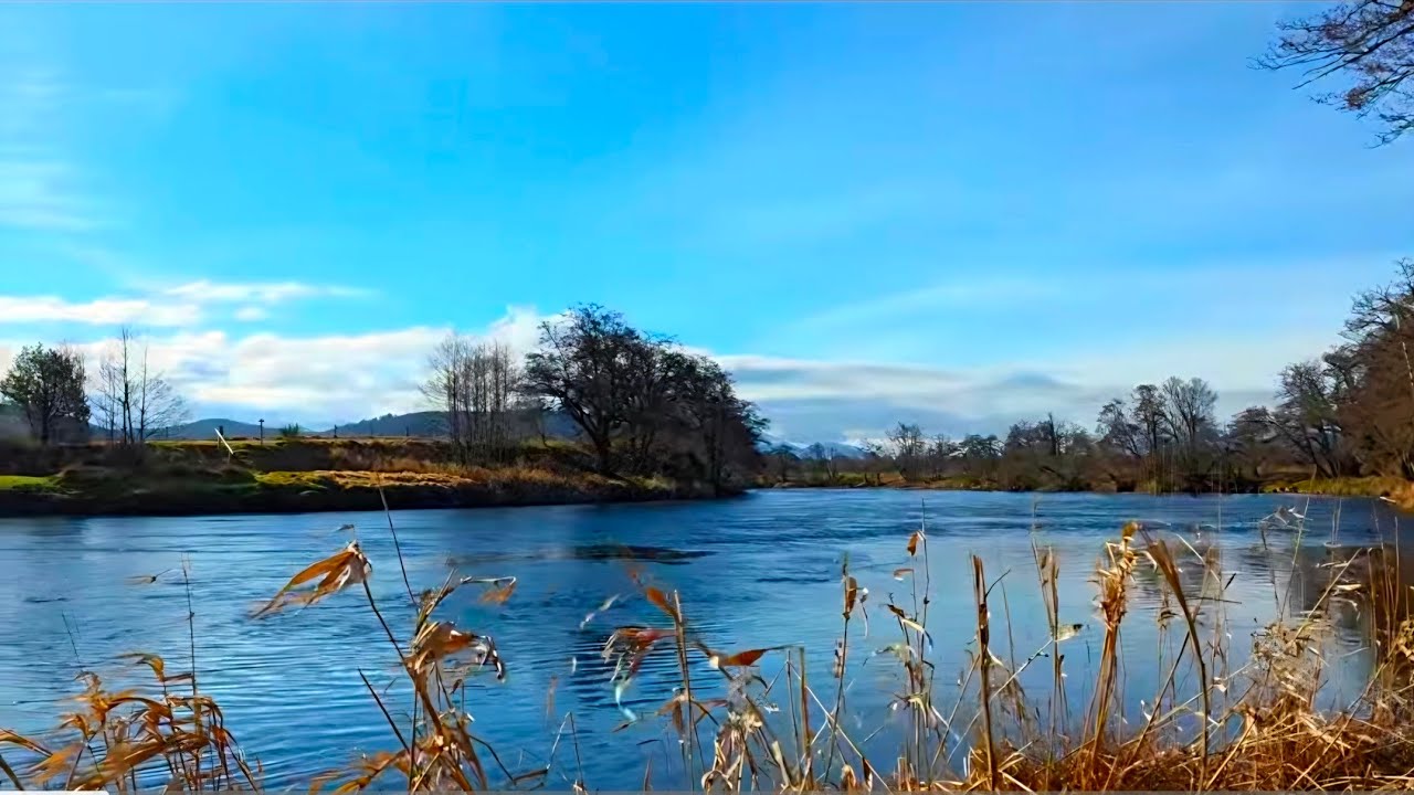 A Bright Spring Morning by the River Spey | Cairngorms National Park | Scottish Highlands