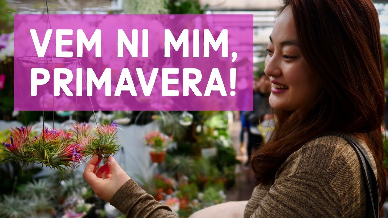 A COREIA É UM MAR DE ROSAS?