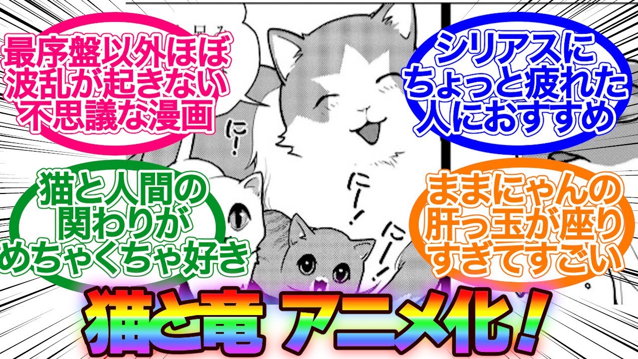 猫と竜　アニメ化！　に対する反応【猫と竜】【反応集】#猫と竜    #反応集    #異世界