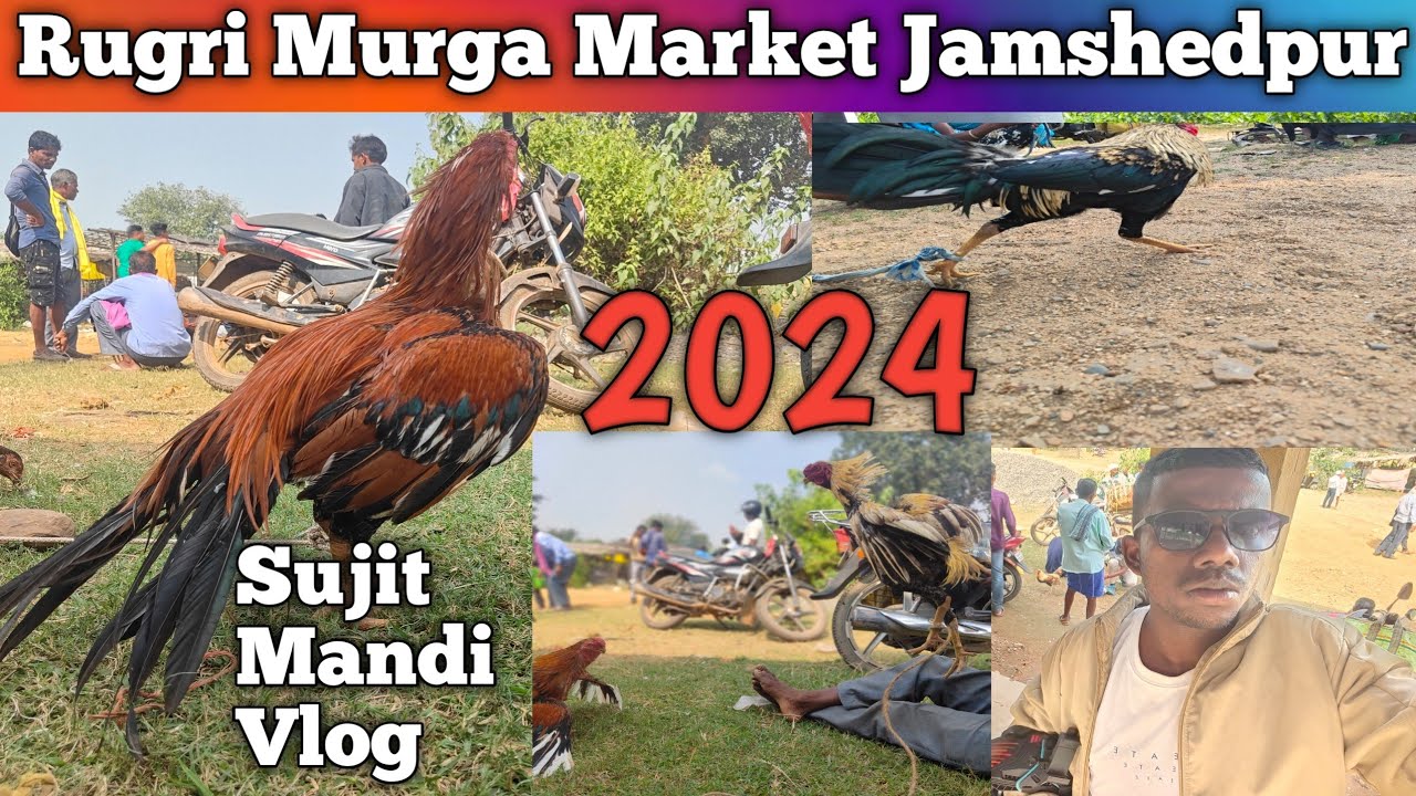 Rugri Murga Market Jamshedpur 2024lSujit Mandi Vlog