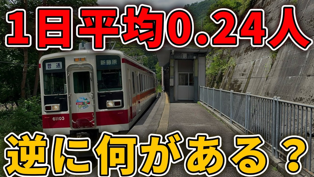 【4日に1人】マジでだれも使わない元・都心直通の秘境駅が異次元すぎた！鉄道昆虫博物館みたい！　#秘境駅 #野岩鉄道 #東武鉄道 #龍王峡 #鬼怒川 #秘境