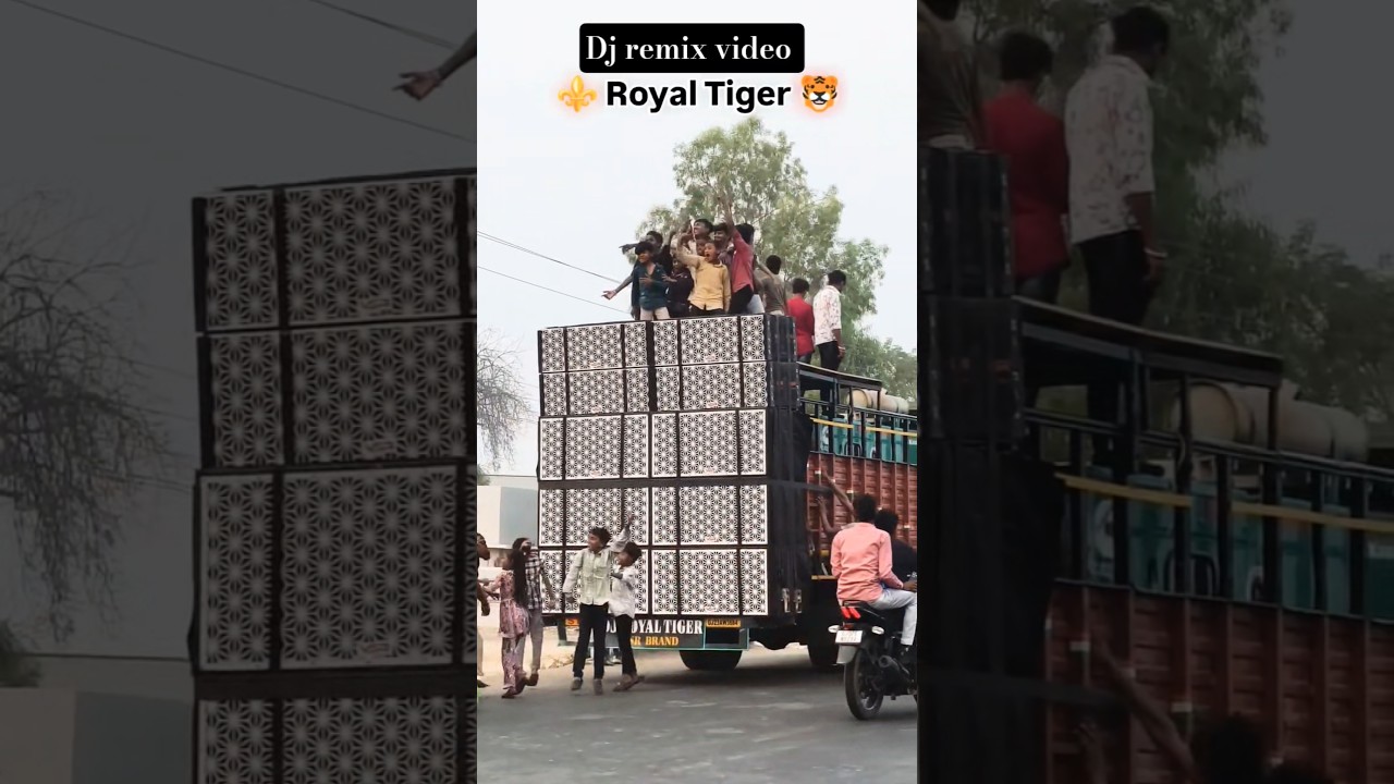 Dj remix new video 2026 Vkbhuriya timli song RoyalSound Tigerbrand dj Timli |VN1639|JRTimli Lover