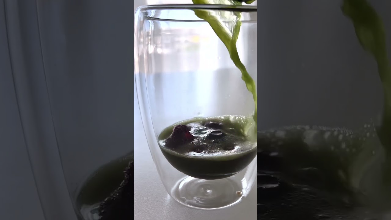 Matcha Blaubeeren Eistee! 🍵🫐 #matcha #koyocha #blaubeere