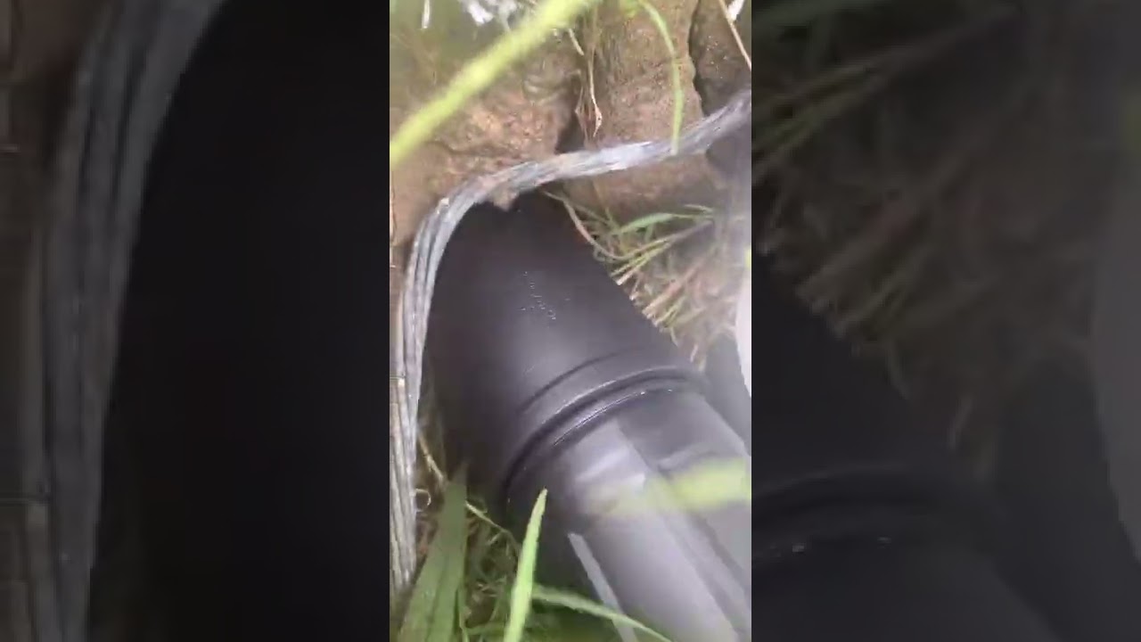 Rat Burrow Found! 🐀🐀🐀 Used RODENT smoke detection To Find It! 💨😶‍🌫️