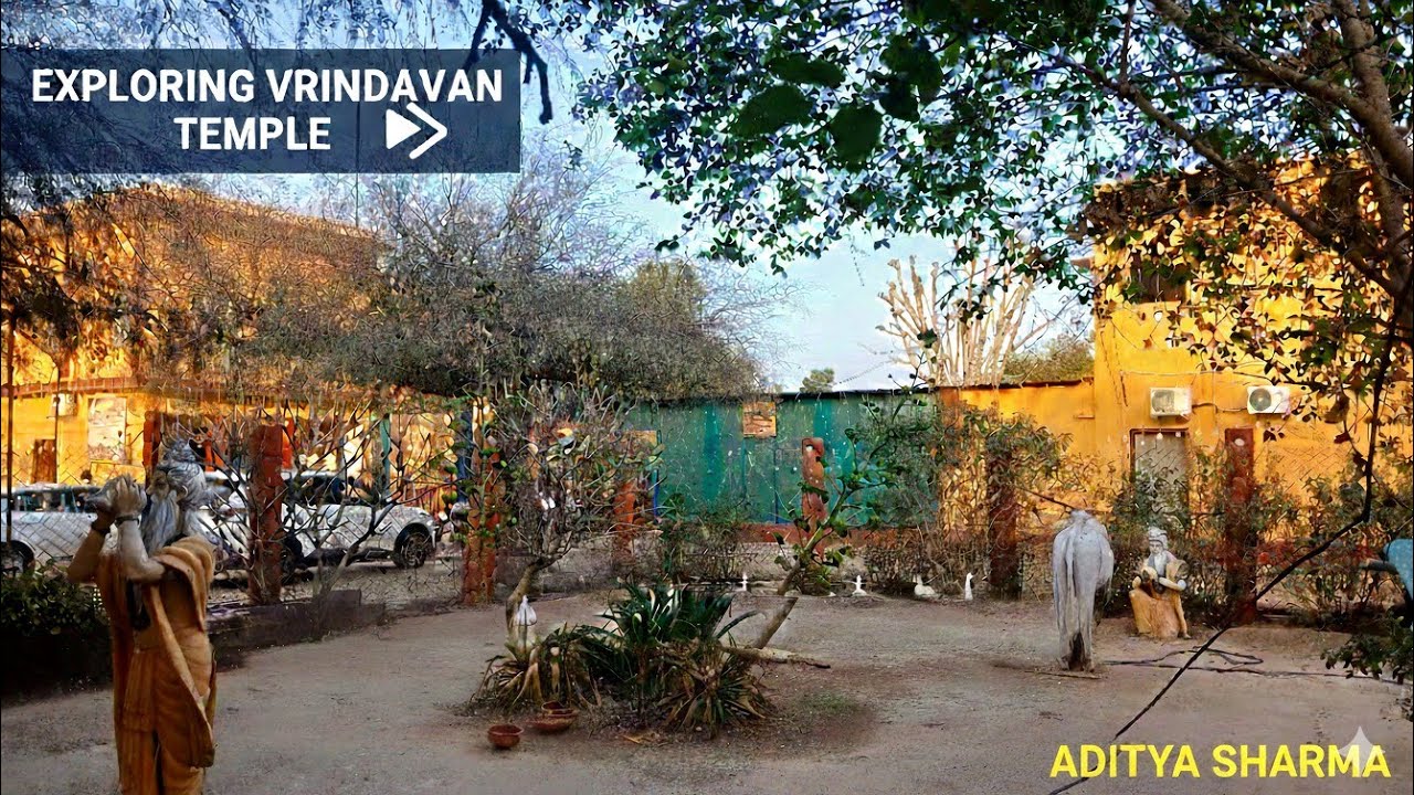Day..38  Vrindavan ghumne aagye 💖                  #vlogging #viral 