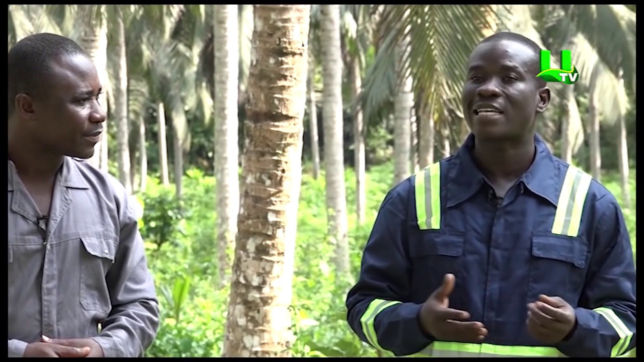 AYEKOO: Time With Agricultural Extension Officer