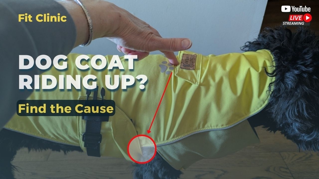 Why Dog Coats Ride Up the Chest (It’s Not the Chest Size)