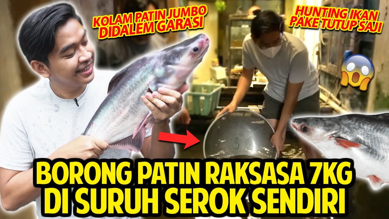 BORONG PATIN RAKSASA 7KG DISURUH  SEROK SENDIRI! GARASI MOBIL ISI KOLAM IKAN MONSTER! MASUKIN KOLAM!