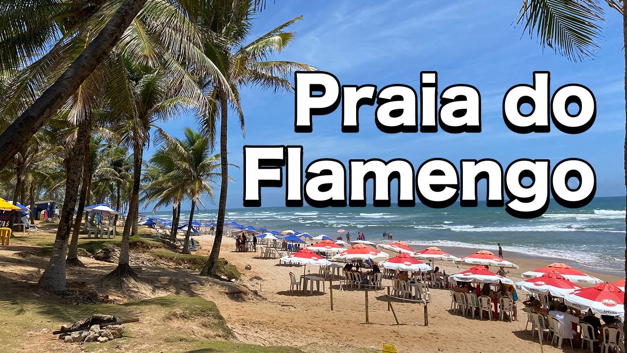 PRAIA DO FLAMENGO é boa para tomar banho? Descubra